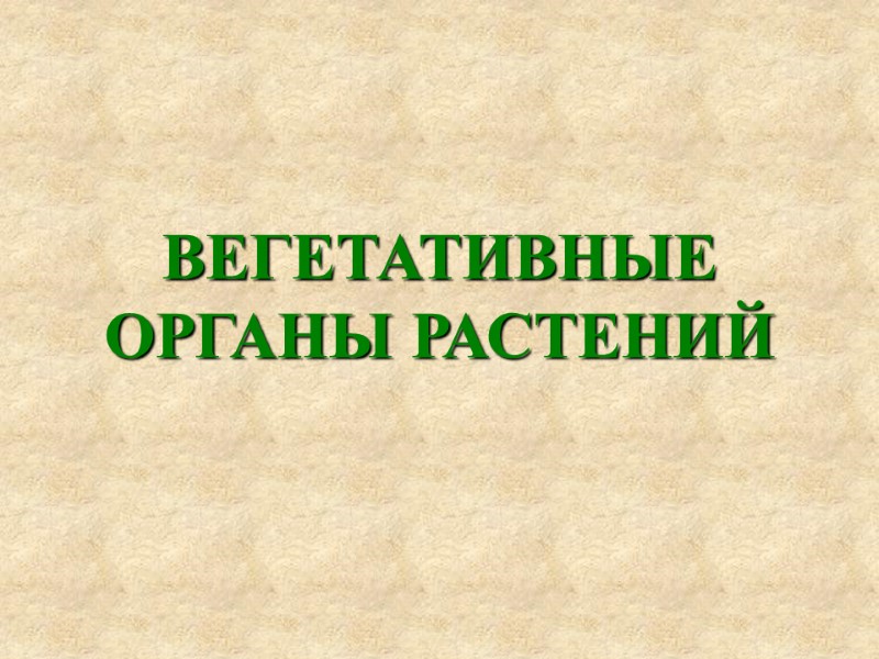 ВЕГЕТАТИВНЫЕ ОРГАНЫ РАСТЕНИЙ